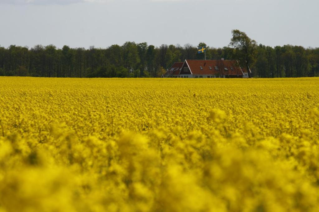 Hobykrok B&B Lund Exterior photo