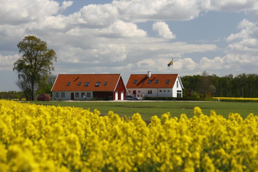 Hobykrok B&B Lund Exterior photo