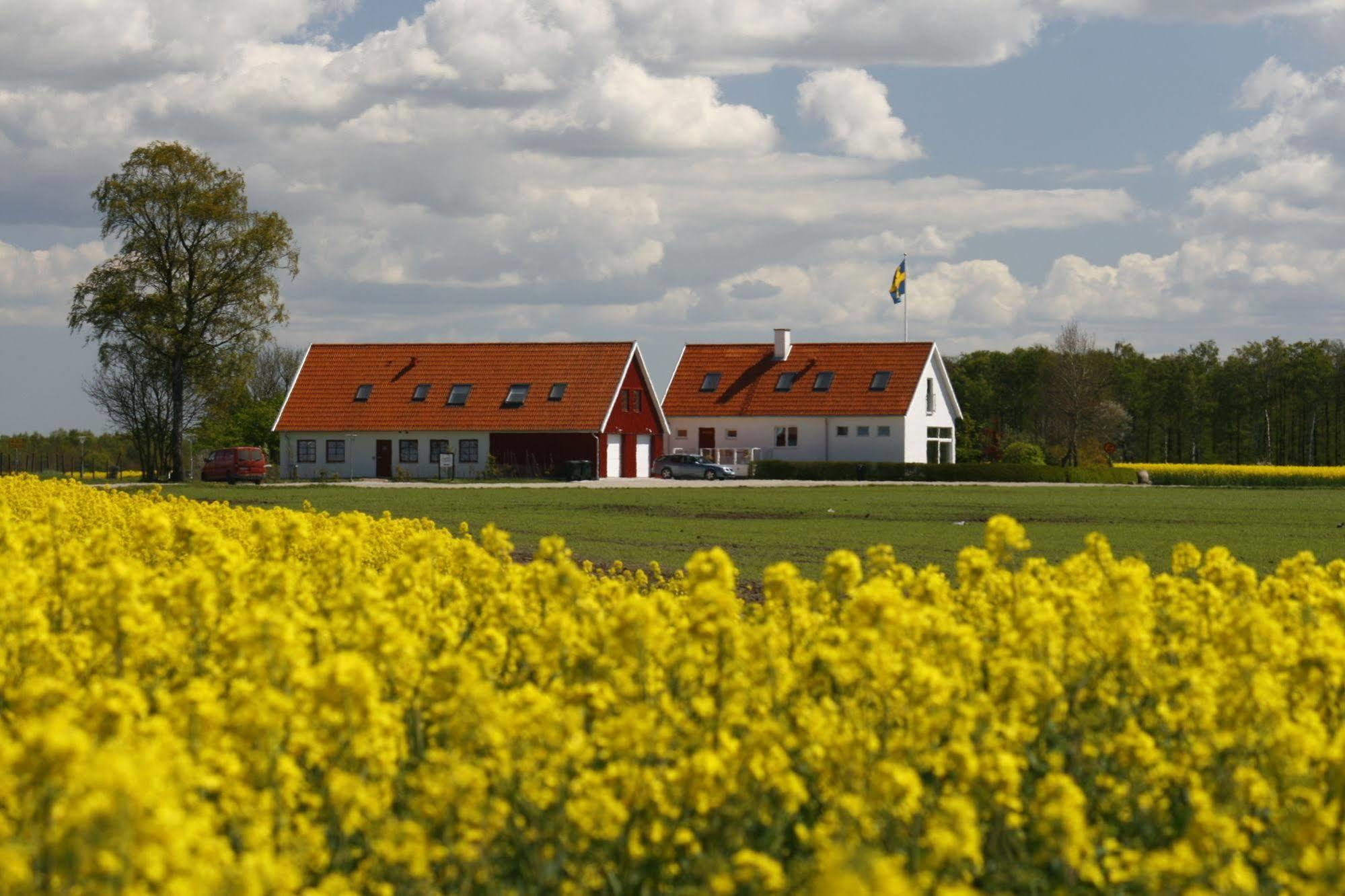 Hobykrok B&B Lund Exterior photo